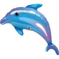 Delightful Dophin